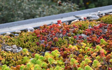 the cost of Creech St Michael green roof installation
