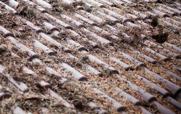 Creech St Michael roof cleaning companies