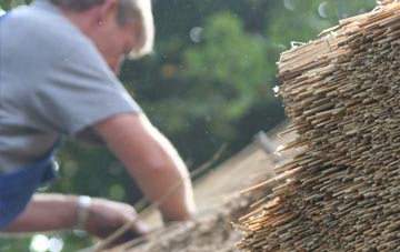 professional Creech St Michael thatchers