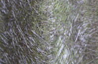 Creech St Michael fibreglass roof work